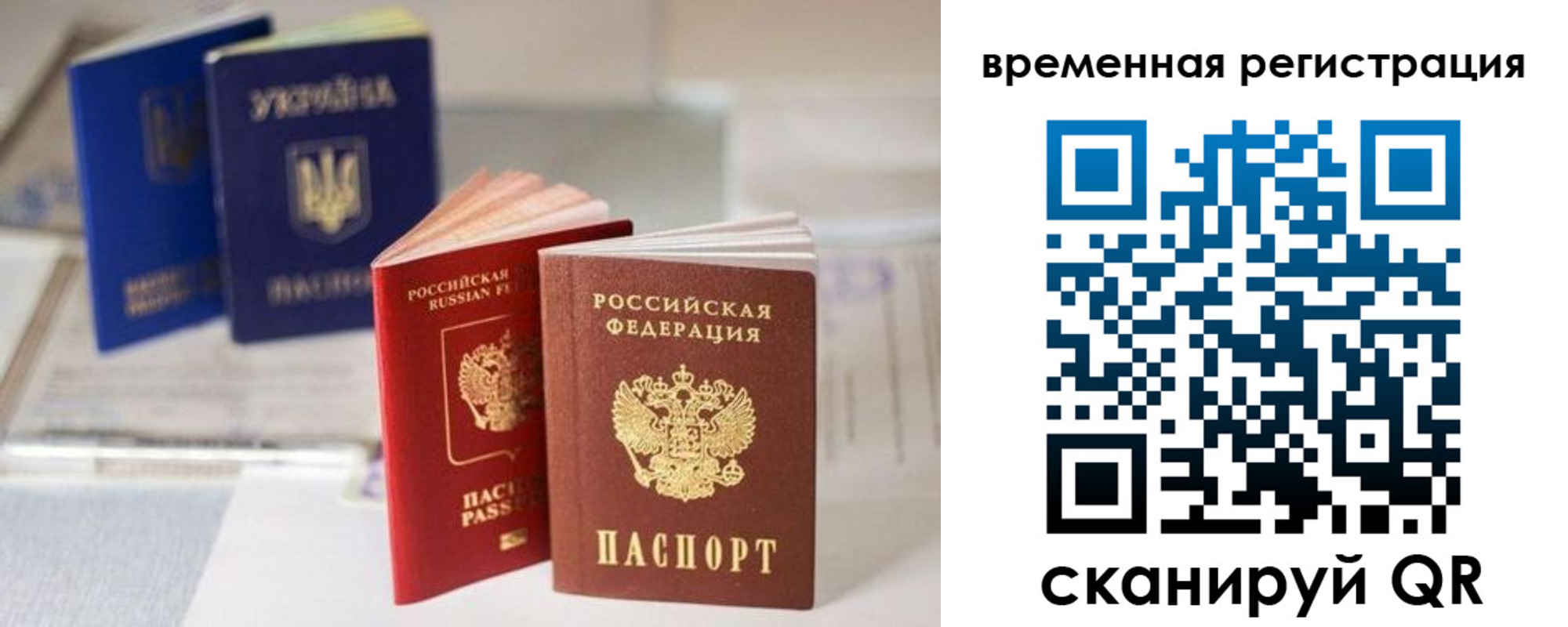 прописка поиск в Чечне
